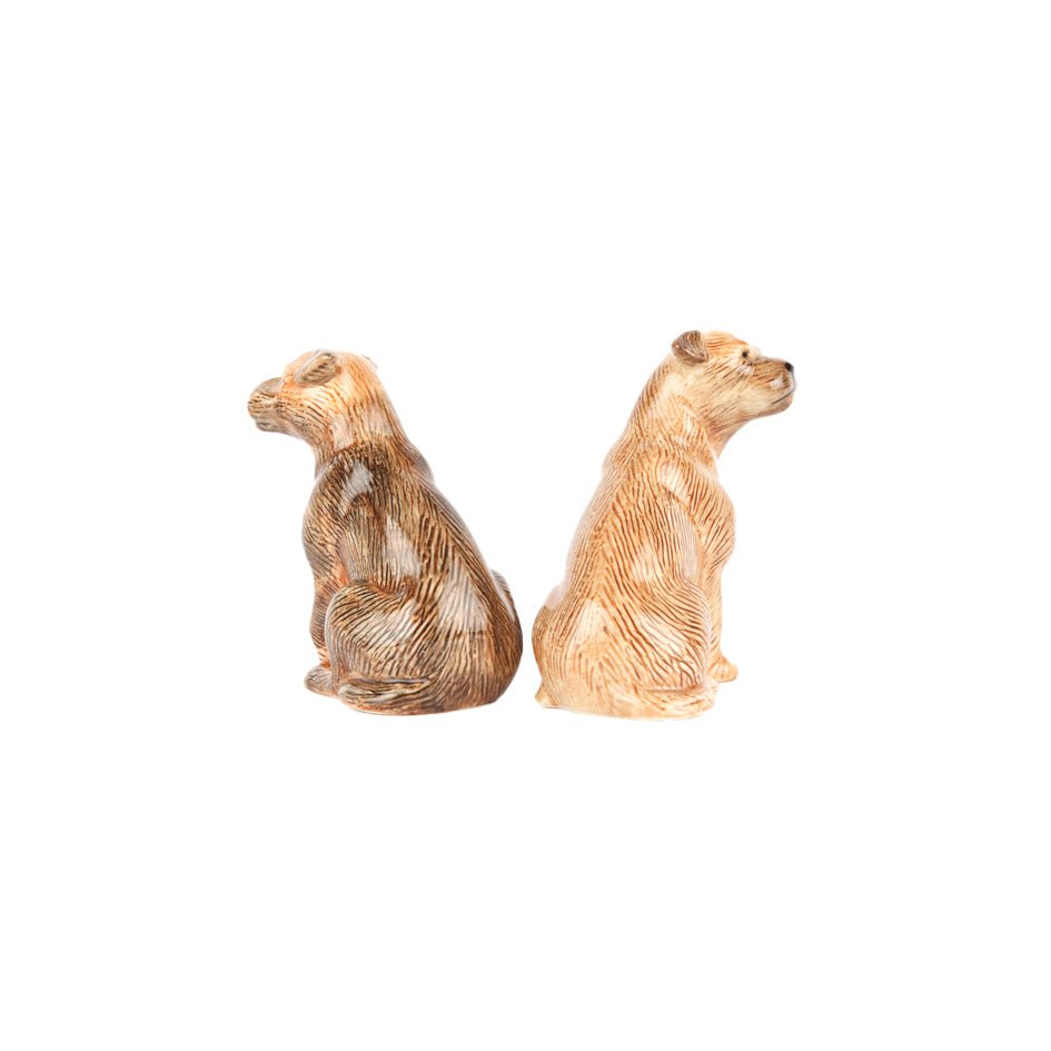 Border Terrier Peper- en Zoutstel - Quail Ceramics - SuperMatique