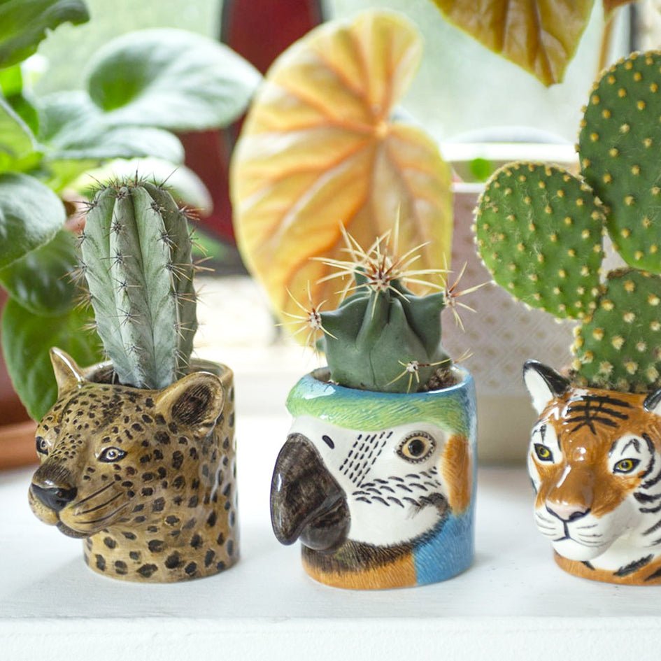 Luipaard Mini Pot - Quail Ceramics - SuperMatique