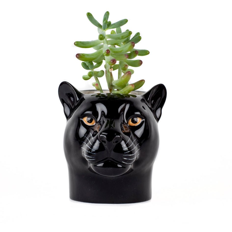 Panter Pennen Pot Quail Ceramics - SuperMatique