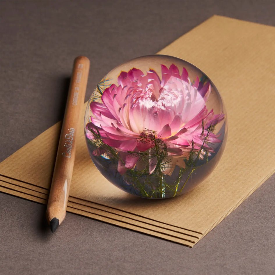Roze Helichrysum Presse - papier (groot) - Hafod Grange - SuperMatique