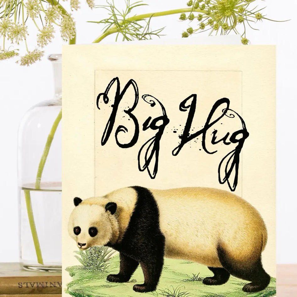 Wenskaart 'Bear Hug' - Madame Treacle - SuperMatique