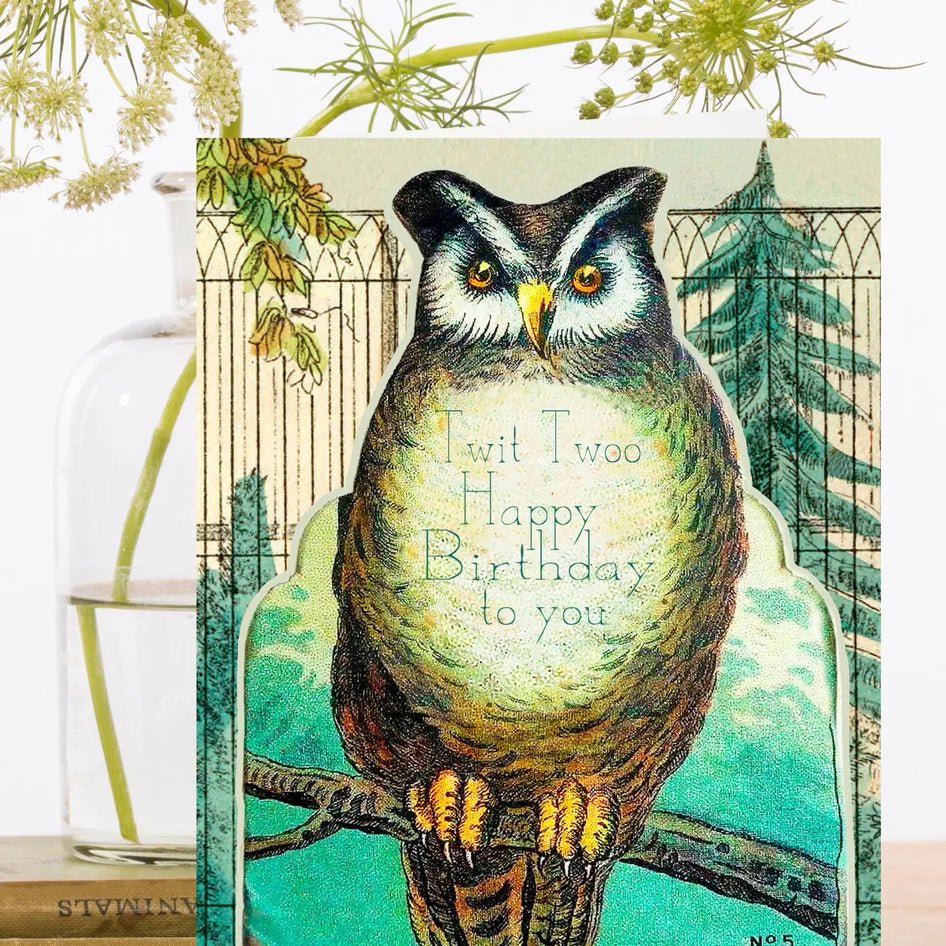 Wenskaart 'Mr Owl' Happy Birthday - Madame Treacle - SuperMatique