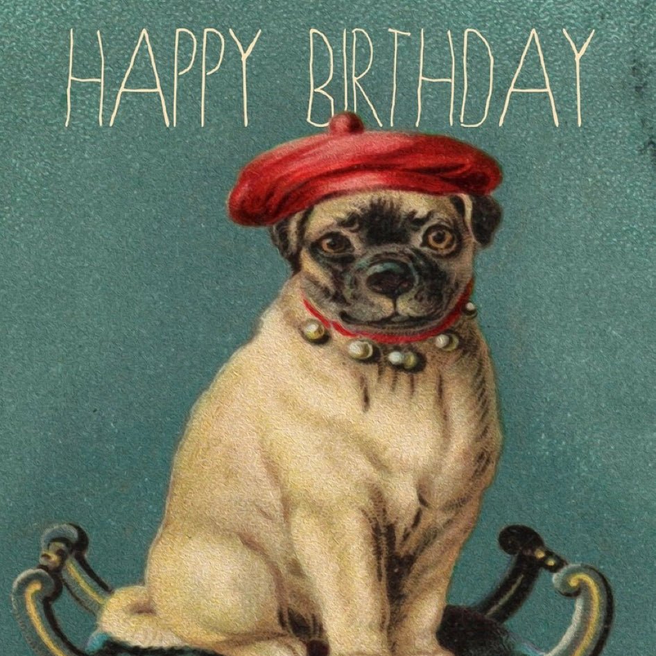 Wenskaart Pug on Stool 'Happy Birthday' - Madame Treacle - SuperMatique