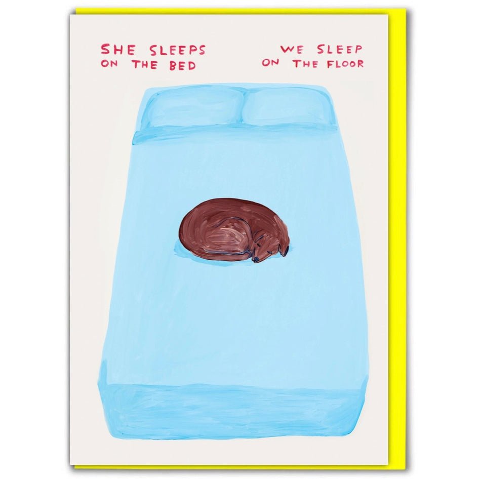 Wenskaart "Sleeps on Bed" - David Shrigley x Brainbox Candy - SuperMatique