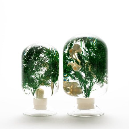 Dennenwoud Herbarium Presse-Papier - SuperMatique