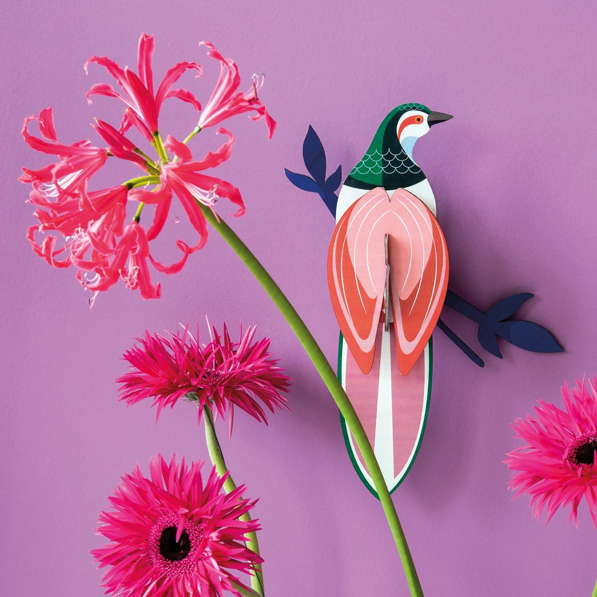 Rani, paradise bird - SuperMatique