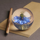 Blauwe Nigella Presse - papier (groot) - Hafod Grange - SuperMatique