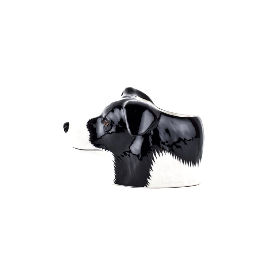 Border Collie Eierdopje - Quail Ceramics - SuperMatique