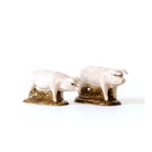 Britse Hangoor Varken Peper en Zout - Quail Ceramics - SuperMatique