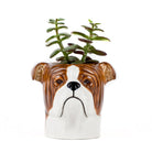 Engelse Bulldog Pennen Pot - Quail Ceramics - SuperMatique
