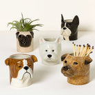 Engelse Bulldog Pennen Pot - Quail Ceramics - SuperMatique