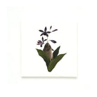 Keramiek Wandtegel Collage Naturalis - Collectie - The Vulcano - Lylies - SuperMatique