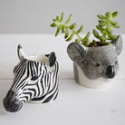 Koala Eierdopje - Quail Ceramics - SuperMatique