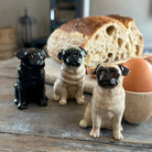 Mopshond met Eierdopje - Quail Ceramics - SuperMatique
