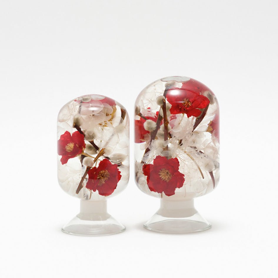 'Pieces Of Time' Herbarium / Presse - Papier 'Camelia' - Style Jieum - SuperMatique