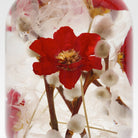 'Pieces Of Time' Herbarium / Presse - Papier 'Camelia' - Style Jieum - SuperMatique