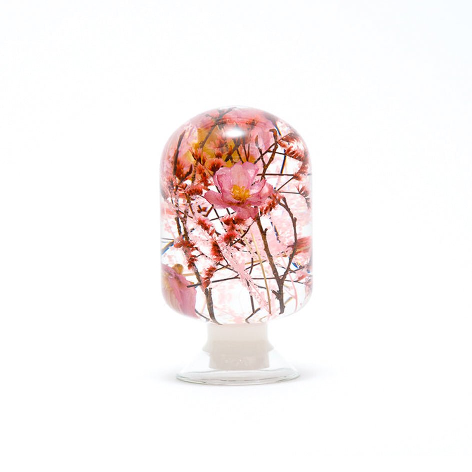 'Pieces Of Time' Herbarium / Presse - Papier 'Cherry Blossom' - Style Jieum - SuperMatique