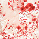 'Pieces Of Time' Herbarium / Presse - Papier 'Wild Bloom' - Style Jieum - SuperMatique