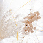 Sneeuwwit Herbarium Presse - Papier - Style Jieum - SuperMatique