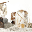 Sneeuwwit Herbarium Presse - Papier - Style Jieum - SuperMatique