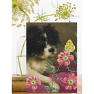 Wenskaart 'Mr Fluff' - Madame Treacle - SuperMatique