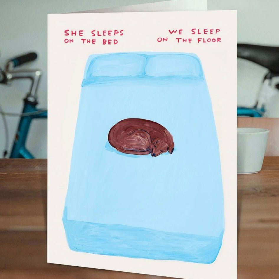 Wenskaart "Sleeps on Bed" - David Shrigley x Brainbox Candy - SuperMatique