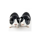 Cavia Zwart-Wit Peper en Zout Quail Ceramics - SuperMatique