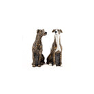 Greyhound zout en peper - SuperMatique