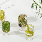 Groene Woud Herbarium Presse-Papier - SuperMatique