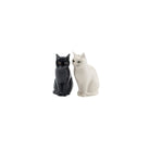 Kat Daisy en Lucky Peper en Zout stel - SuperMatique