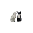 Kat Sadie en Smartie Peper en Zout - SuperMatique