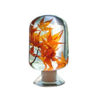 Maple Herbarium - SuperMatique