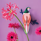 Rani, paradise bird - SuperMatique