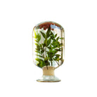 Summer Berry Herbarium - SuperMatique