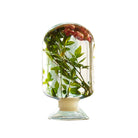 Summer Berry Herbarium - SuperMatique