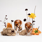 Sunrise Blossom Herbarium Presse-Papier - SuperMatique